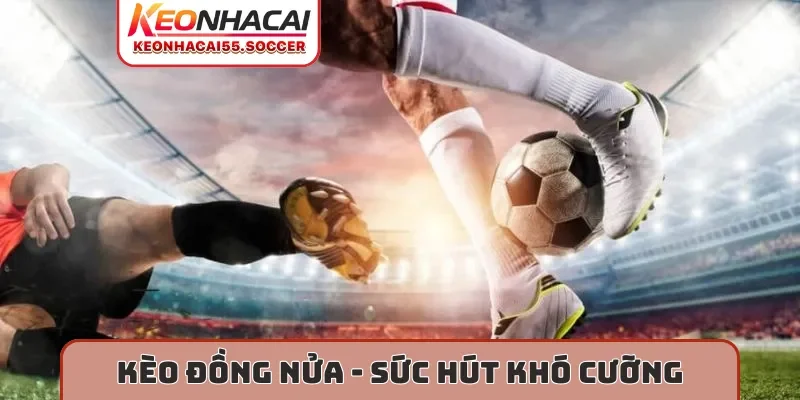 Kèo đồng nửa