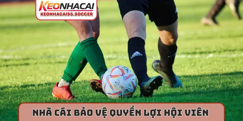 Nhà cái bảo vệ quyền lợi hội viên