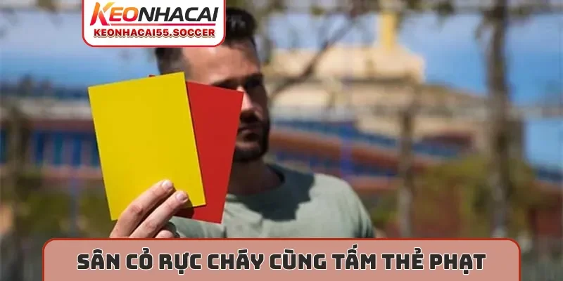 Sân cỏ rực cháy cùng tấm thẻ phạt