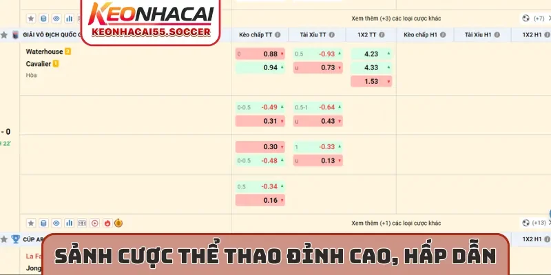 Sảnh cược thể thao đỉnh cao, hấp dẫn