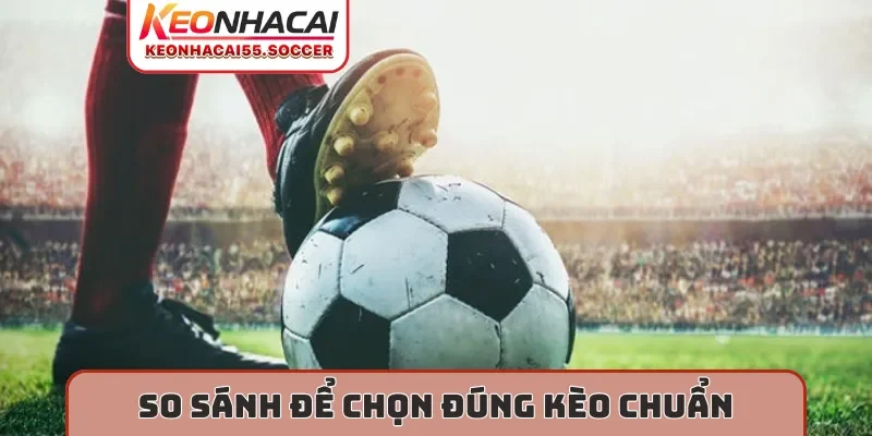 So sánh để chọn đúng kèo chuẩn