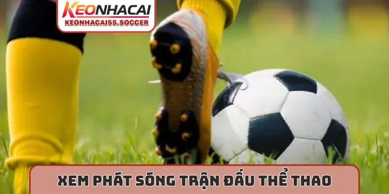 Xem phát sóng trận đấu thể thao